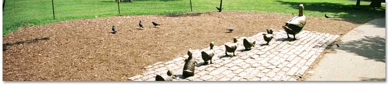 "Make Way for Ducklings Statues", Public Gardens